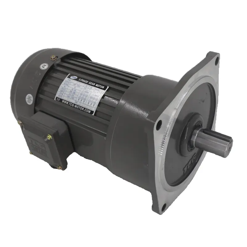 Précautions d'installation et d'entretien du TCG (Tai Chuang Gear Motor)