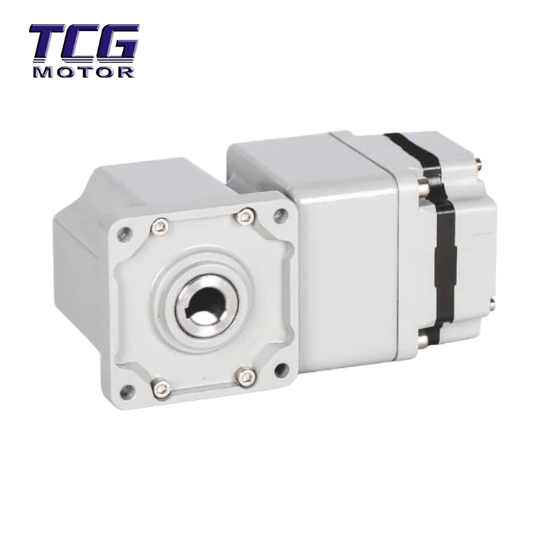 Moteur BLDC 60 W avec boîte de vitesses à angle droit 80GR