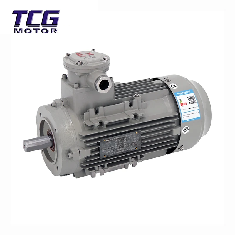Moteur antidéflagrant Ex d IIC T4 B14, petite bride