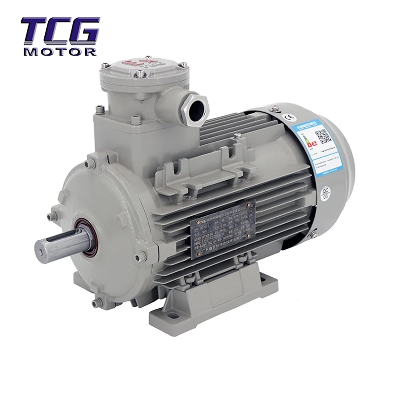 Moteur antidéflagrant Ex d IIC T4, montage B3