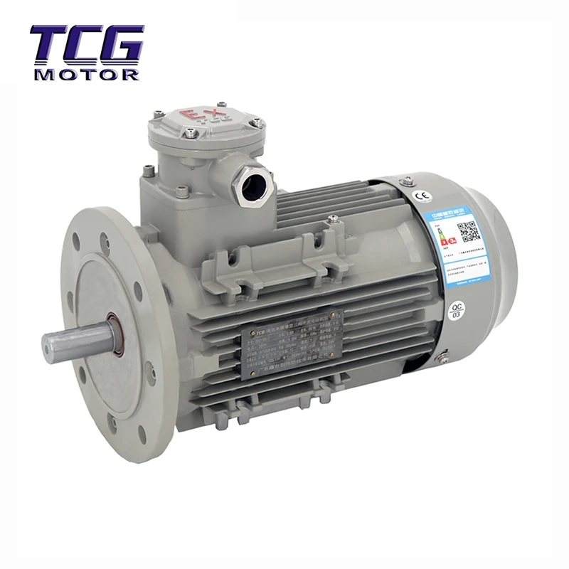Moteur antidéflagrant Ex d IIC T4 B5 monté sur bride